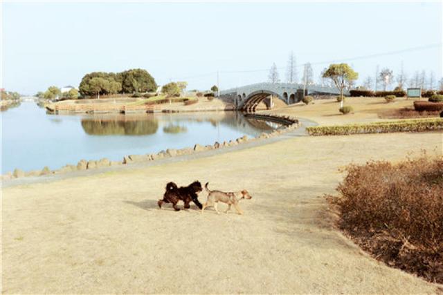 ר�ô�ɳ���� | ���Ϻ��������衱���㡰ס������ʱ�⡱-16.jpg