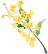 191603jhhp47qhrqsrr5h0.png